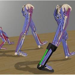 The OpenSim open-source software combines state-of-the-art models and methods from biology, neuroscience, mechanics, robotics, and computer science to create fast, accurate physics-based simulations of movement.