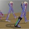 Open Source Software Creates Powerful, Accurate Simulations for Movement Research