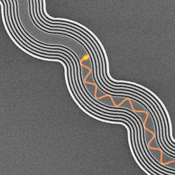 An anisotropic metamaterial waveguide cladding keeps light travel on track throughout a computer chip.