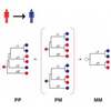 Computer Simulations Predict the Spread of HIV