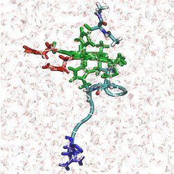 N-acetylmicroperoxidase