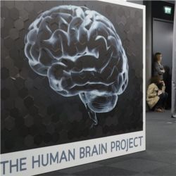 The Human Brain Project