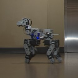 The robotic guide dog. 