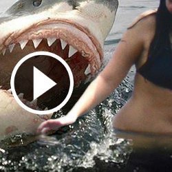 shark attacking teenager