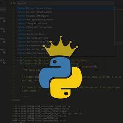 Python use continues to grow.