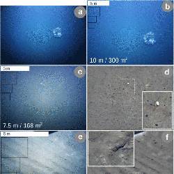 Images captured by the autonomous underwater vehicle on the floor of the Pacific Ocean.