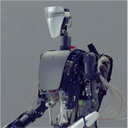 MELTANT avatar robot