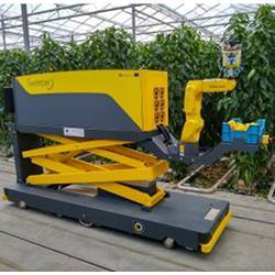 The SWEEPER robot in a greenhouse.