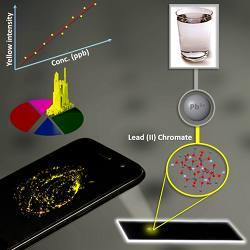 The researchers built a smartphone microscope that can operate in both fluorescence and dark-field imaging modes and paired it with an inexpensive smartphone with an 8-megapixel camera.