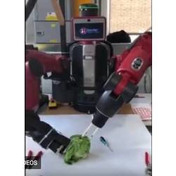 The lettuce-peeling robot in action.