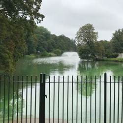 A lake in Albany, NY, connected to the Opti system. 