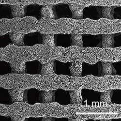 A scanning electron microscope image of the three-dimensionally-printed graphene aerogel lattice.