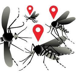 Distant servers help researchers count mosquito eggs and locate potential breeding grounds.