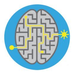 Brain maze