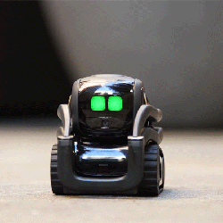 Anki's Vector robot.