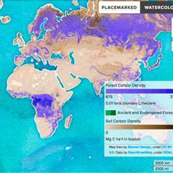 Forest Mapper shows where forests and soil store enormous volumes of carbon.