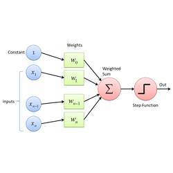 Structure of a perceptron.