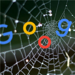 Google web