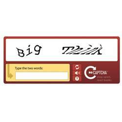 A text-based Captcha.