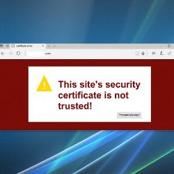 screenshot: site security certificate is not trusted