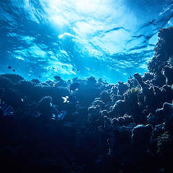 A view from beneath the waves.