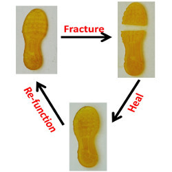 self-healing 3D-printed shoe pad