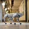 Mini Cheetah Is First Four-Legged Robot to Do a Backflip