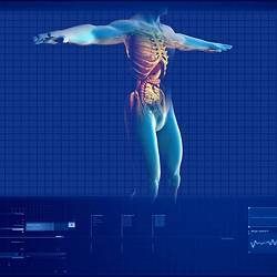 A model of human biological activities.