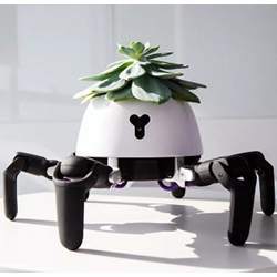 This plant-robot hybrid can walk itself to a sunnier spot.