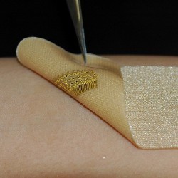 wearable biosensor