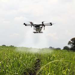 A drone plants seeds.