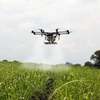 How Smarter Technology Will Feed the Planet