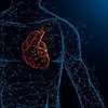 Computer Program Predicts Risk of Deadly Irregular Heart Beats