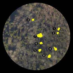 Identifying individual trees in a forest that may require cutting.