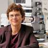 Francine Berman Elected to American Academy of Arts and Sciences