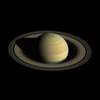 What Deep Learning Reveals About Saturn's Storms