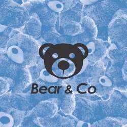 The logo of Bear & Co, an immersive experience that brings users into the world of a fictitious Internet of Things start-up.