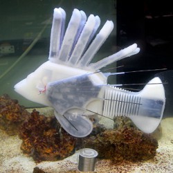 aquatic soft robot