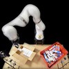 AI-Controlled Robotic Arm Packs Boxes, Cuts Costs