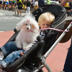 child and dog in stroller