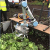 Robot ­ses Machine Learning to Harvest Lettuce