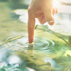 hand touching water