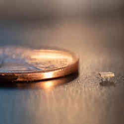 A micro-bristle-bot next to a U.S. penny.