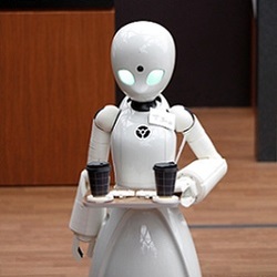 OriHime-D service robot