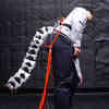 'Robot Tail' Could Help Reduce Risk of Falling for Elderly