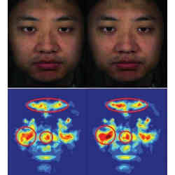 Two photos of a test subject (top) and a look at the blood flow undelying those facial images (bottom). 