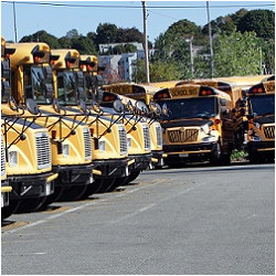 Boston Public School buses