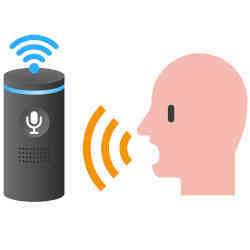 Using a voice assistant to direct a Web search.