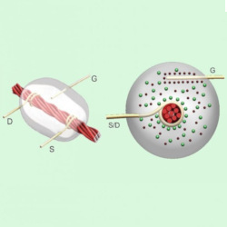 thread-based transistors