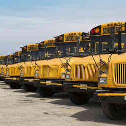 Part of Boston's school bus fleet.